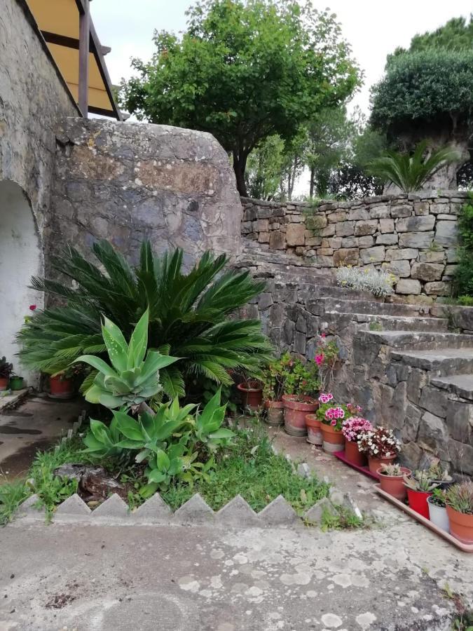 Villa Filomena Монтекориче Экстерьер фото